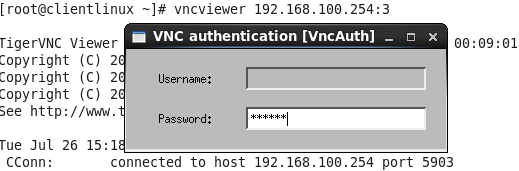 在 Linux 用戶端執行 vncviewer 程序示意