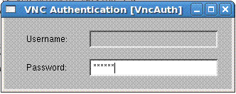 在 Linux 用戶端執行 vncviewer 程序示意